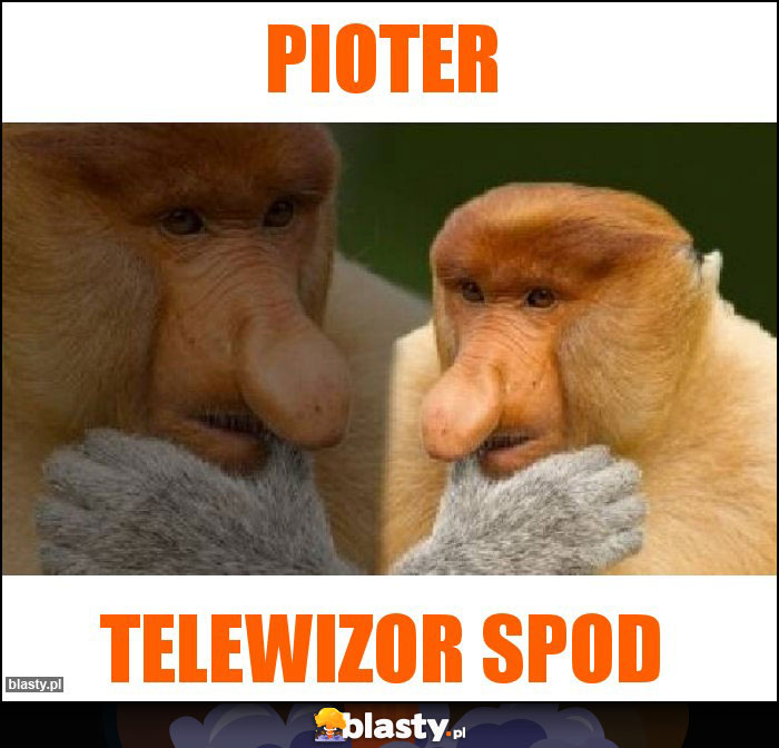 Pioter