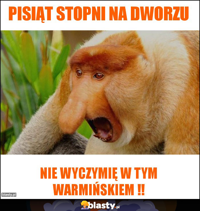 PISIĄT STOPNI NA DWORZU