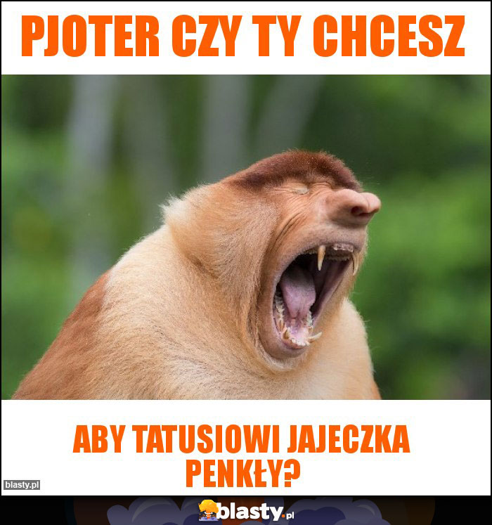 pjoter czy ty chcesz