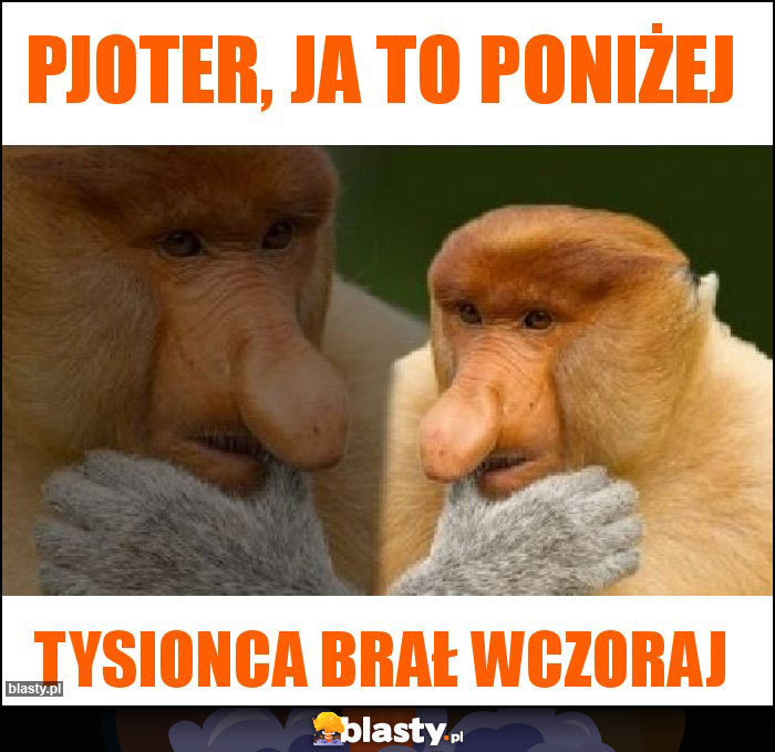 Pjoter, ja to poniżej