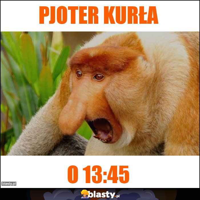 Pjoter Kurła