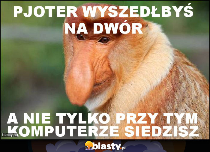 Pjoter wyszedłbyś na dwór