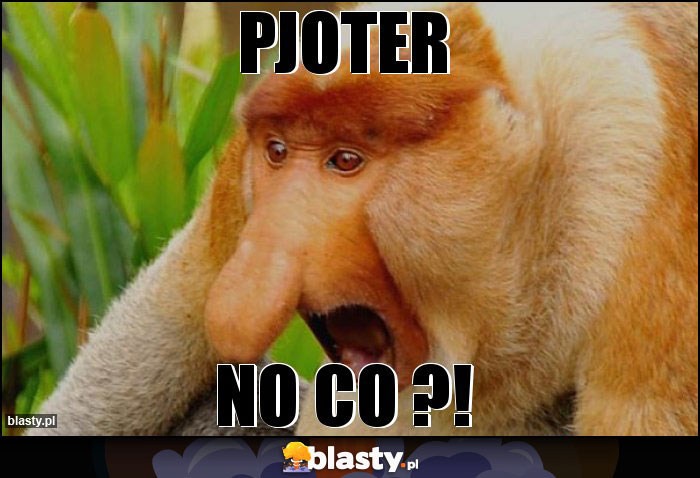 PJOTER