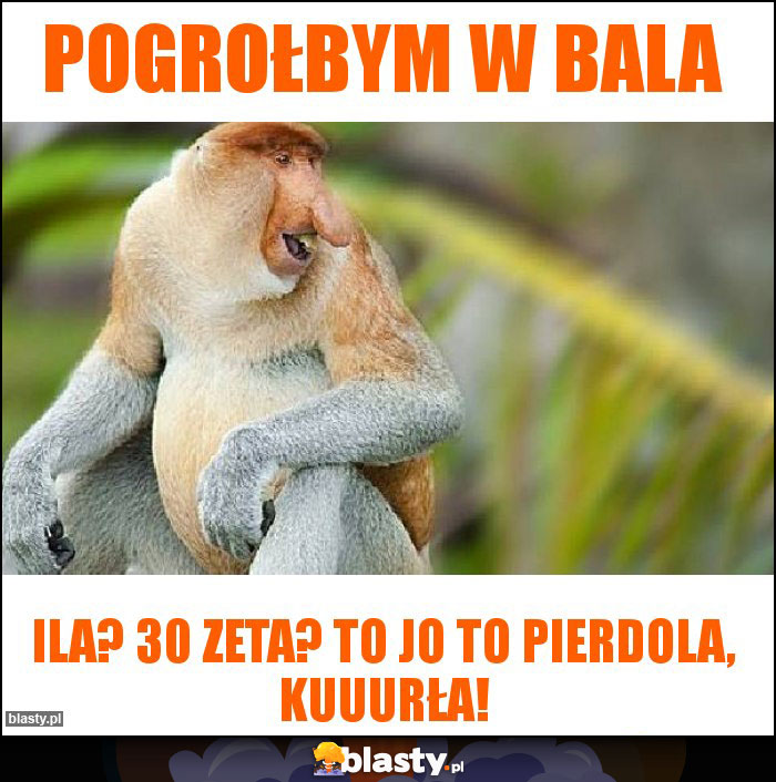 Pogrołbym w bala