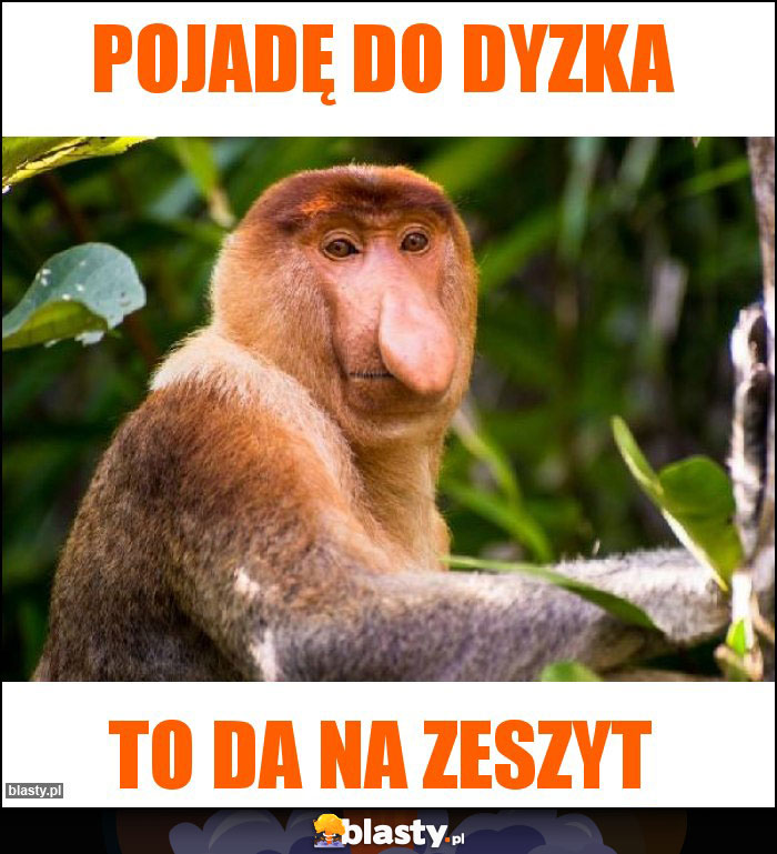 Pojadę do Dyzka