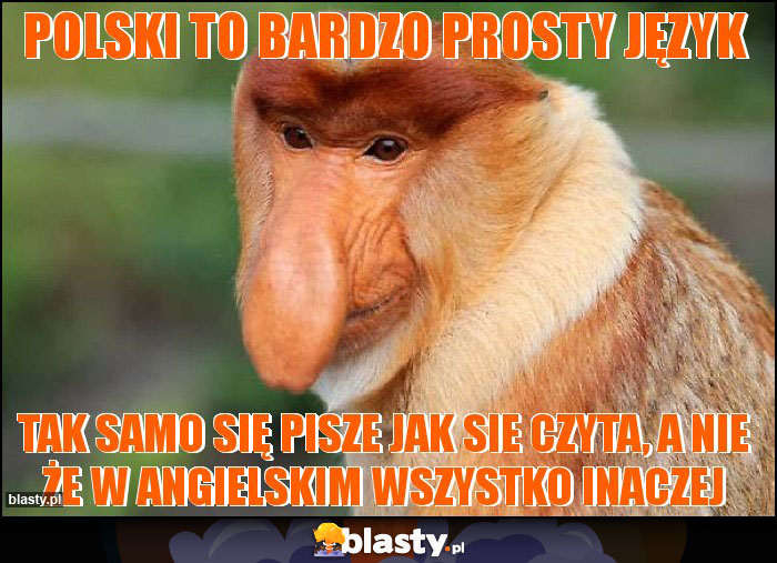 Polski to bardzo prosty język