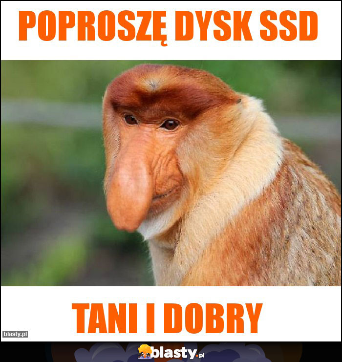 Poproszę dysk SSD