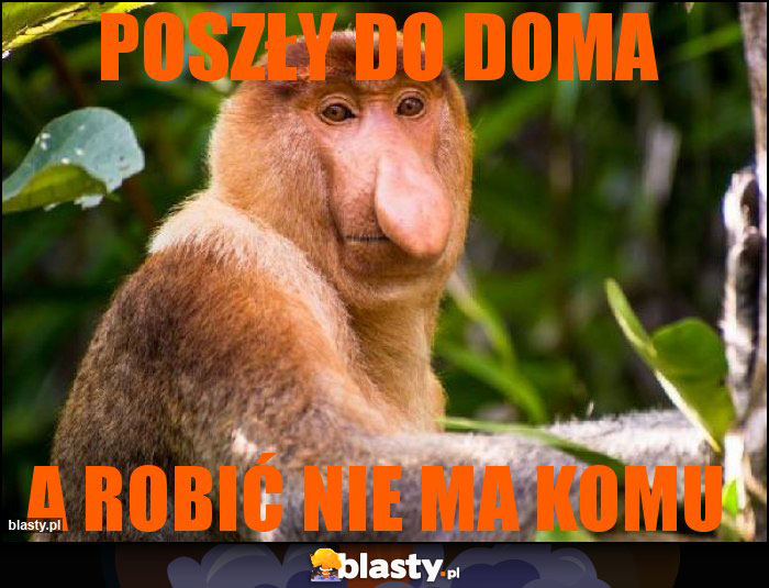 Poszły do doma