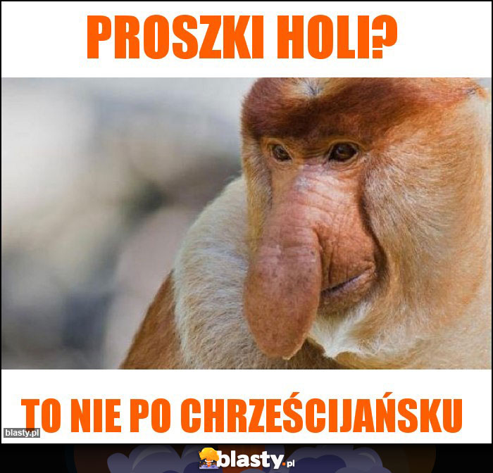 Proszki Holi?