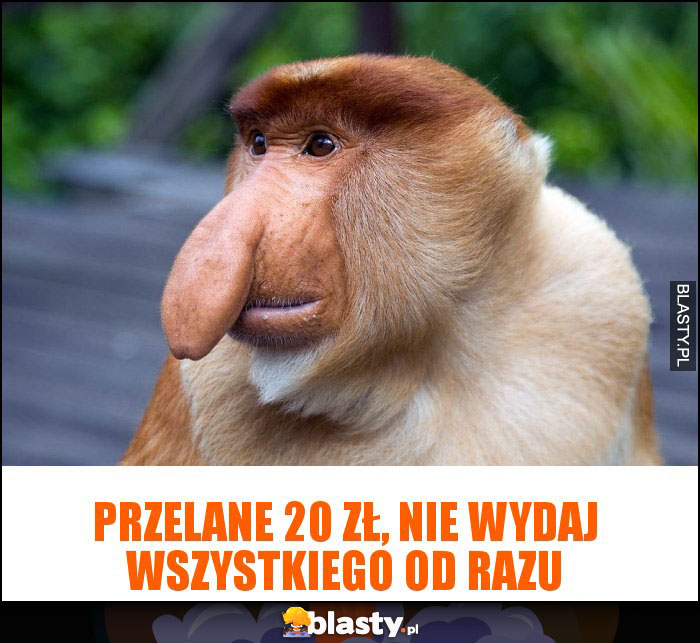 Przelane 20 zł, nie wydaj wszystkiego od razu