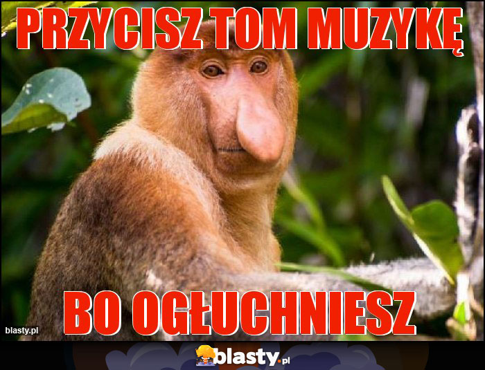 Przycisz tom muzykę