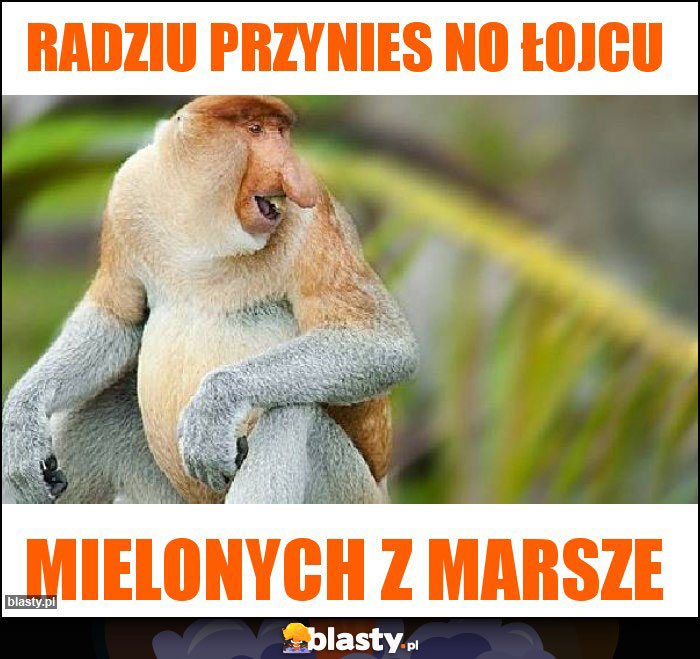 Radziu przynies no łojcu