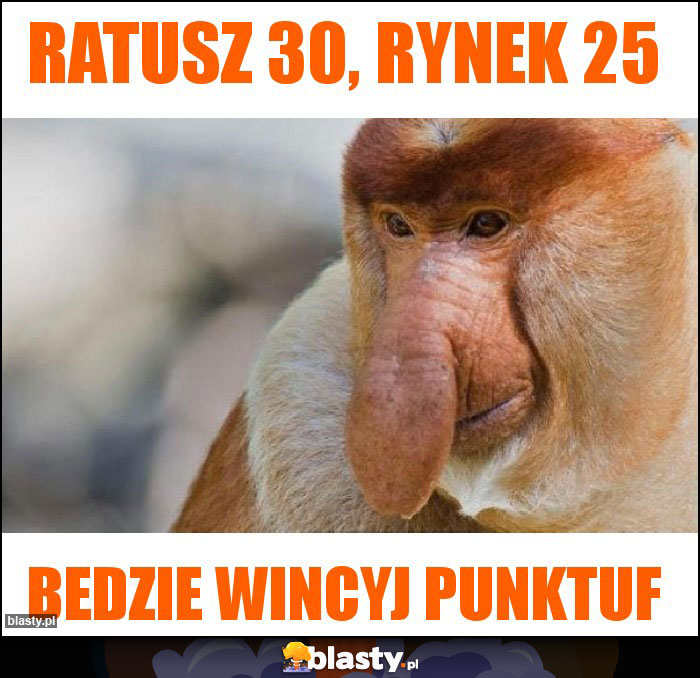 Ratusz 30, rynek 25