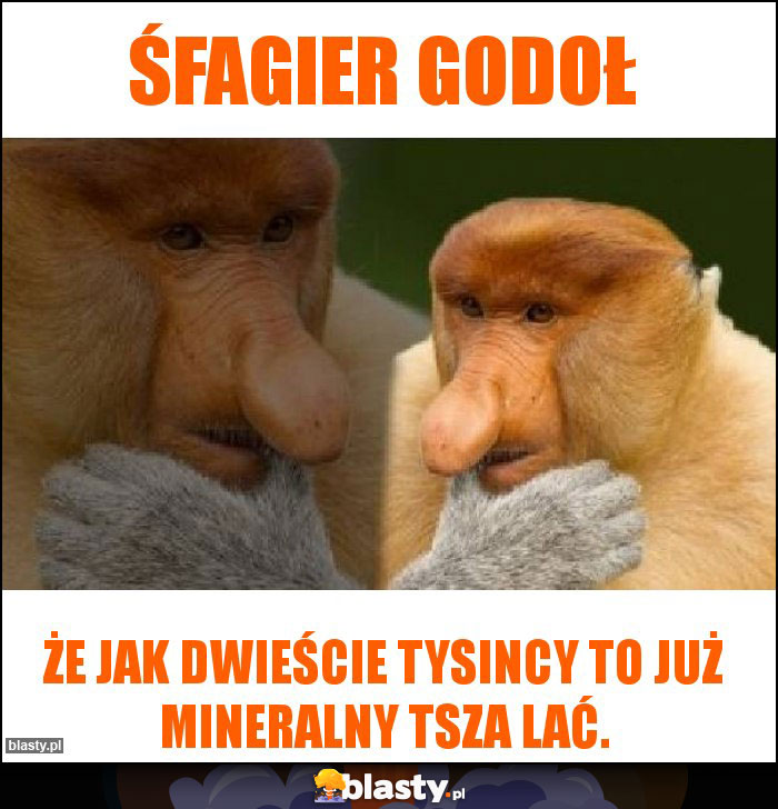 Śfagier godoł