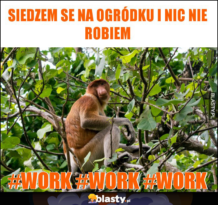 Siedzem se na ogródku i nic nie robiem