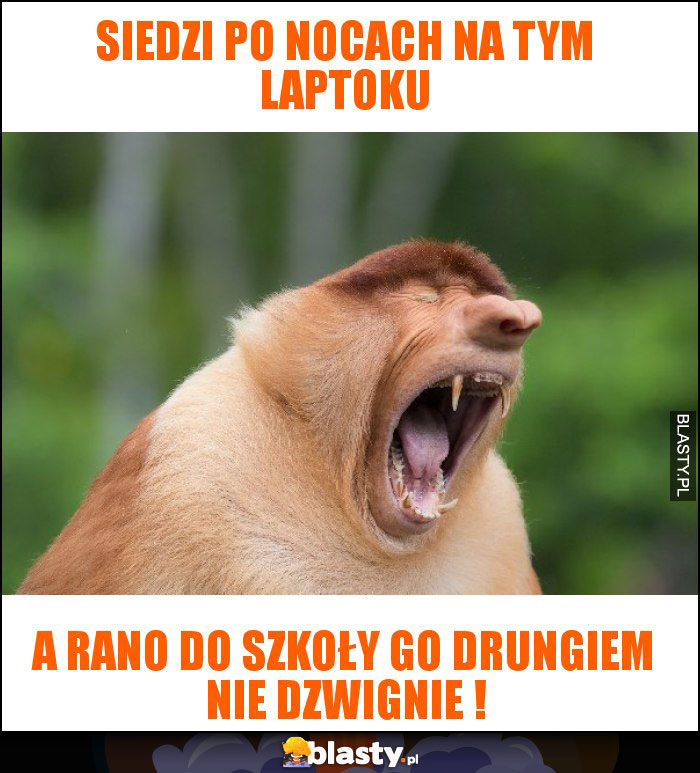 Siedzi po nocach na tym laptoku