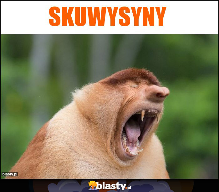 Skuwysyny