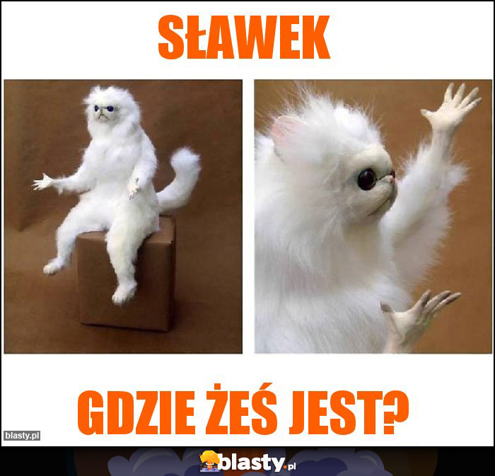 Sławek