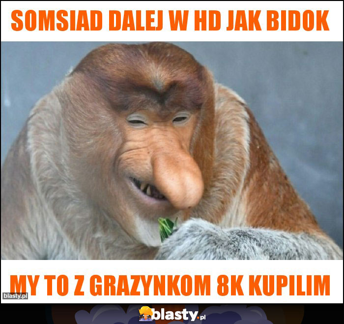 Somsiad dalej w HD jak bidok