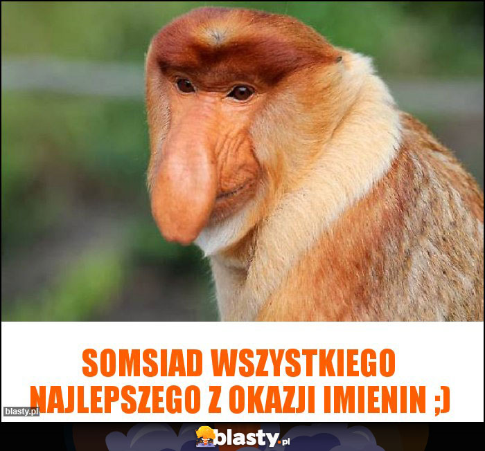 Somsiad wszystkiego najlepszego z okazji imienin ;)