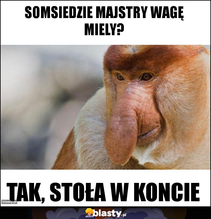 SOMSIEDZIE MAJSTRY WAGĘ MIELY?