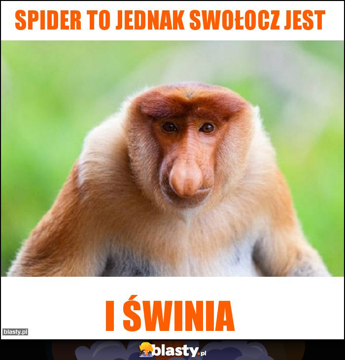 Spider to jednak swołocz jest