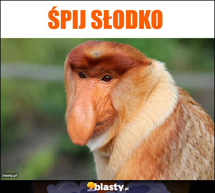 Śpij słodko