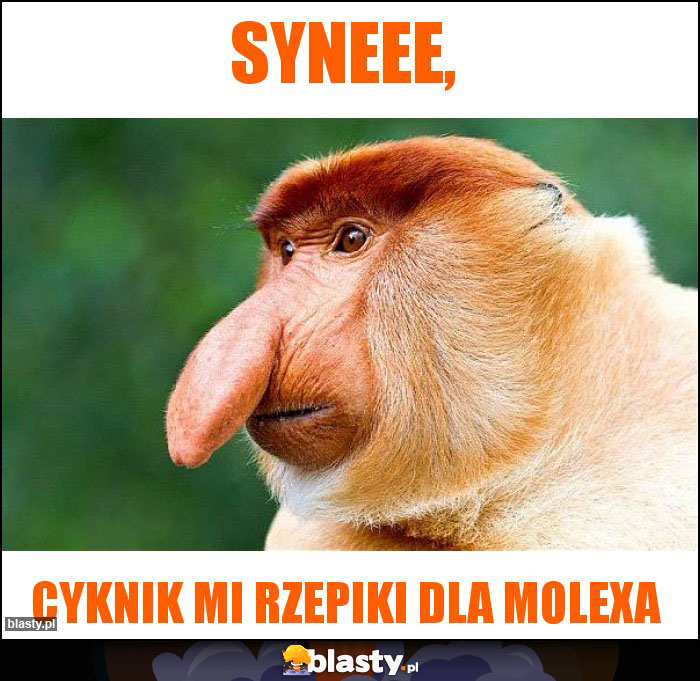 Syneee,