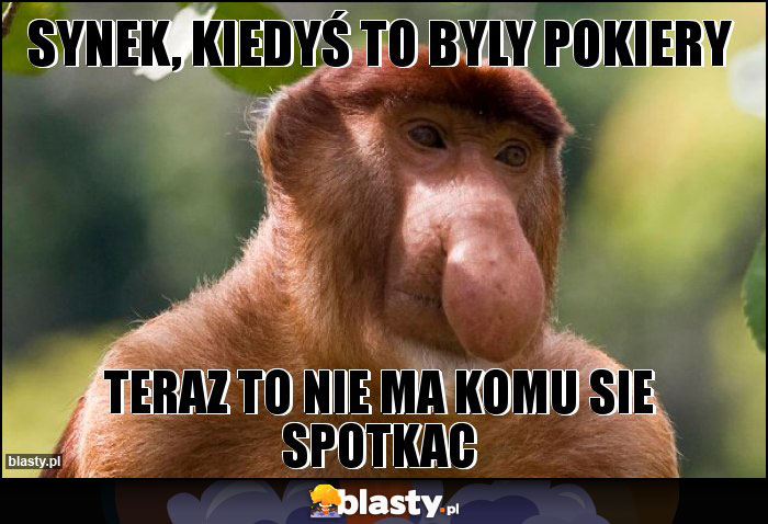 Synek, kiedyś to byly pokiery