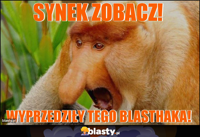 Synek zobacz!