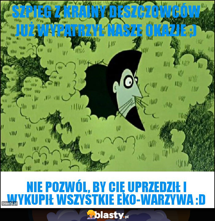 SZPIEG Z KRAINY DESZCZOWCÓW JUŻ WYPATRZYŁ NASZE OKAZJE ;)