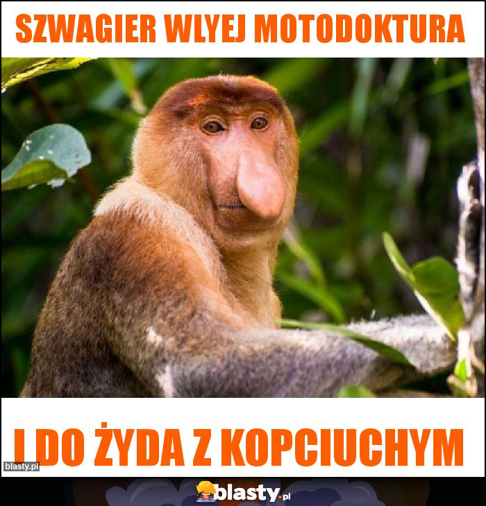 Szwagier wlyej motodoktura