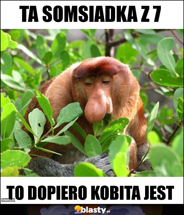 TA SOMSIADKA Z 7