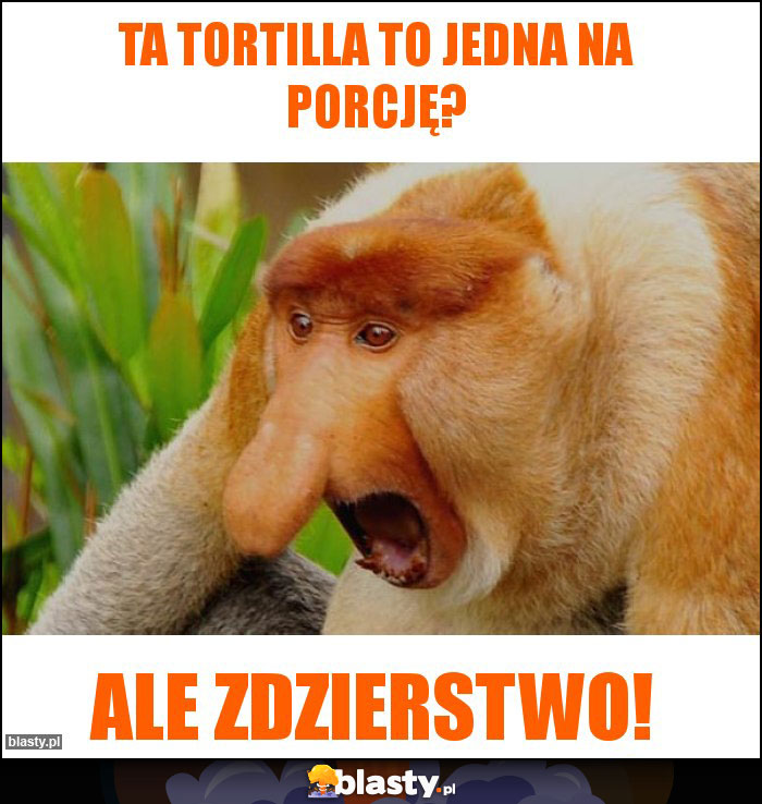 Ta tortilla to jedna na porcję?