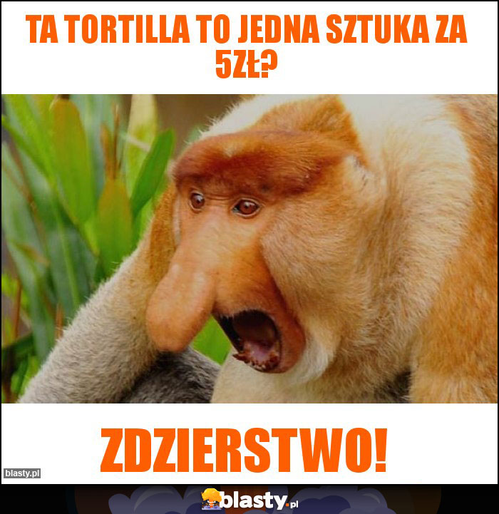 Ta tortilla to jedna sztuka za 5zł?