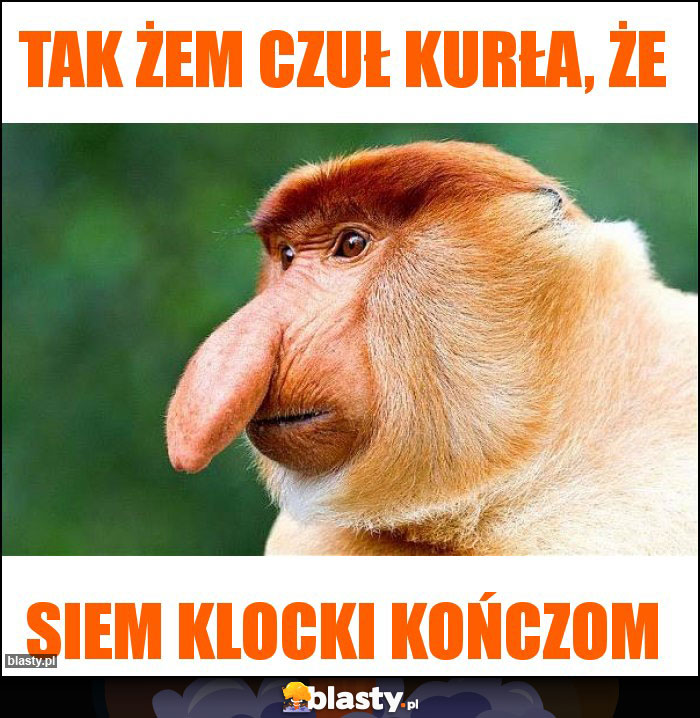 Tak żem czuł kurła, że