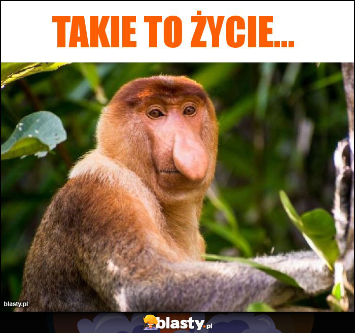 Takie to życie...