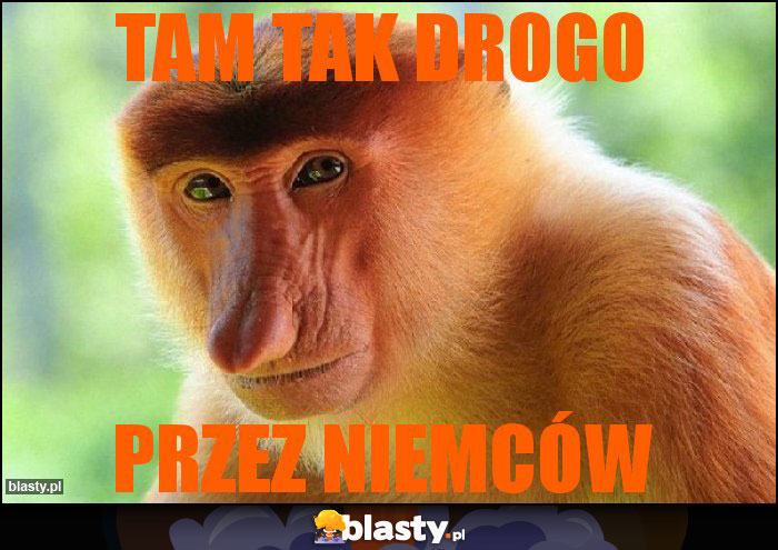 TAM TAK DROGO