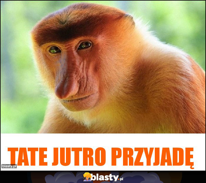 Tate jutro przyjadę