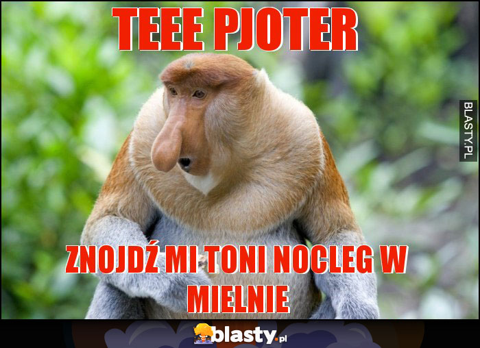 Teee Pjoter