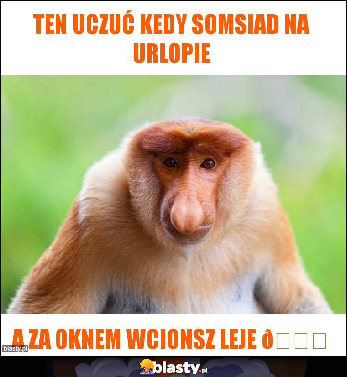 Ten uczuć kedy somsiad na urlopie