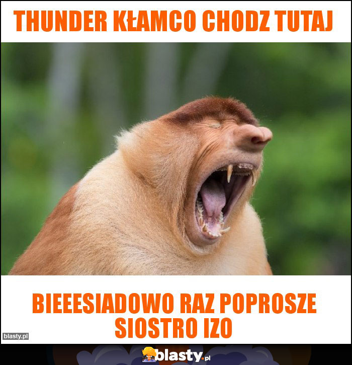 THUNDER Kłamco chodz tutaj