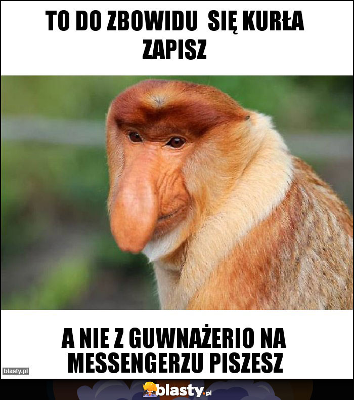 To do zbowidu  się kurła zapisz