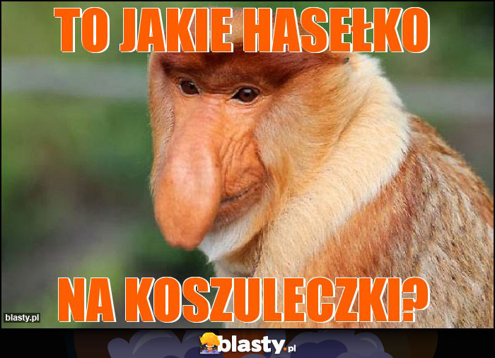 to jakie hasełko