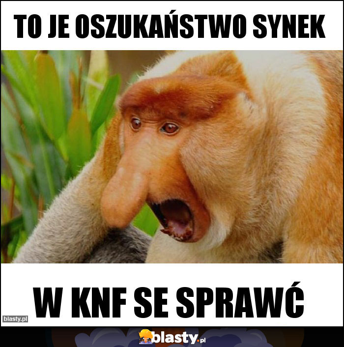 TO JE OSZUKAŃSTWO SYNEK