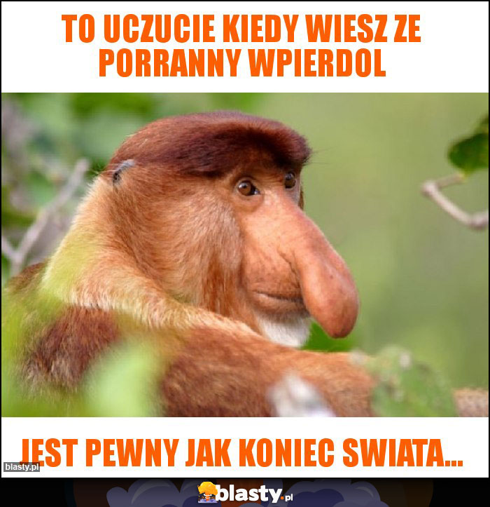 To uczucie kiedy wiesz ze porranny wpierdol