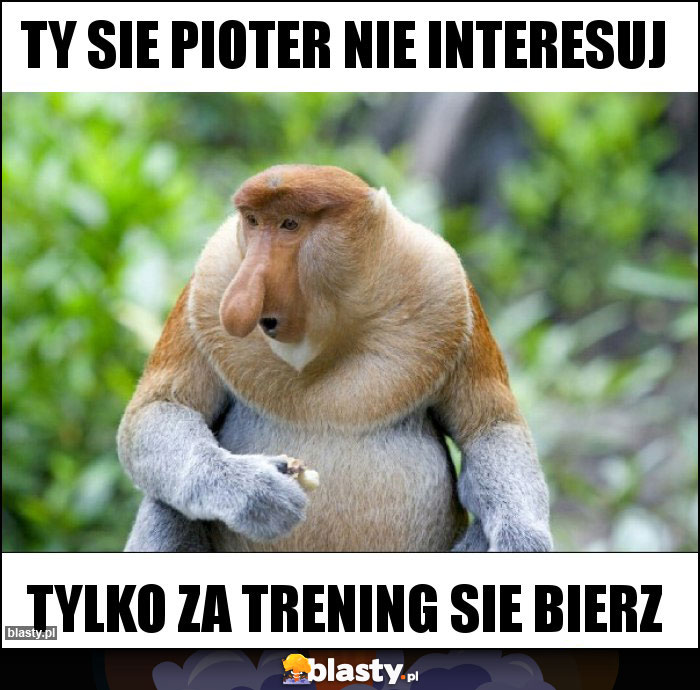 Ty sie pioter nie interesuj