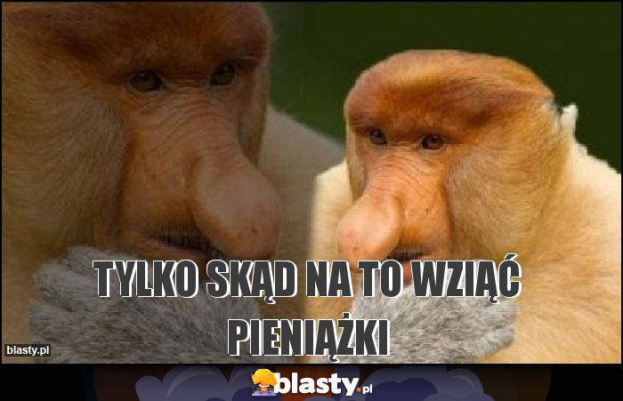 Tylko skąd na to wziąć pieniążki