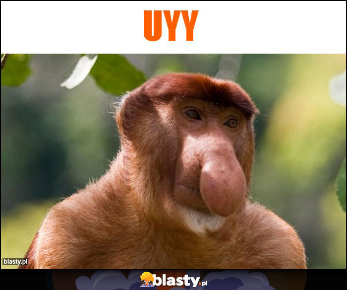 Uyy