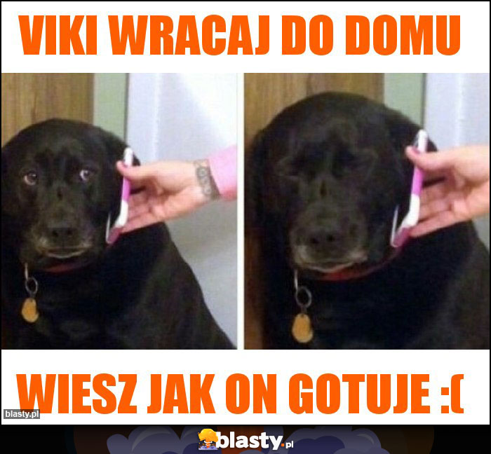 Viki wracaj do domu